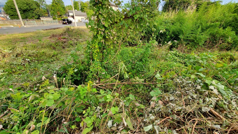 【土地】津山市川崎1630番1