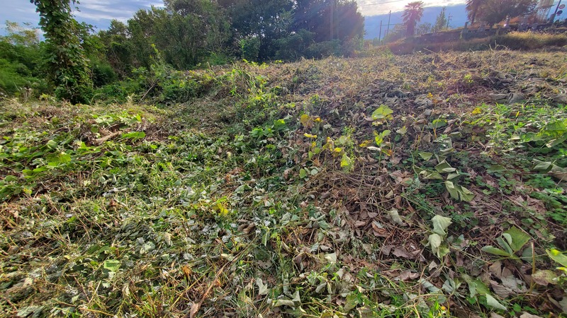 【土地】津山市川崎1630番1