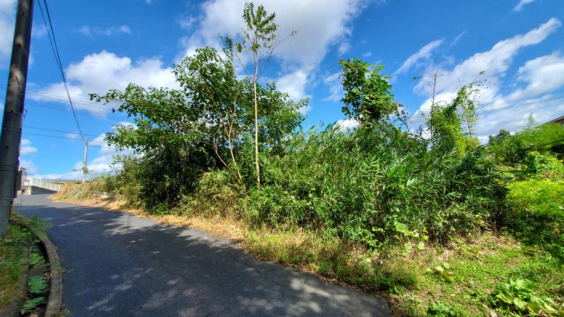 【土地】津山市川崎1630番1